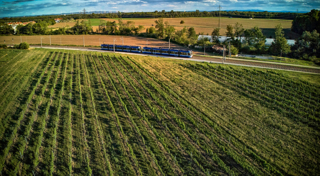 TW500 Zug der Badner Bahn fährt entlang der Strecke vor Weinfeldern